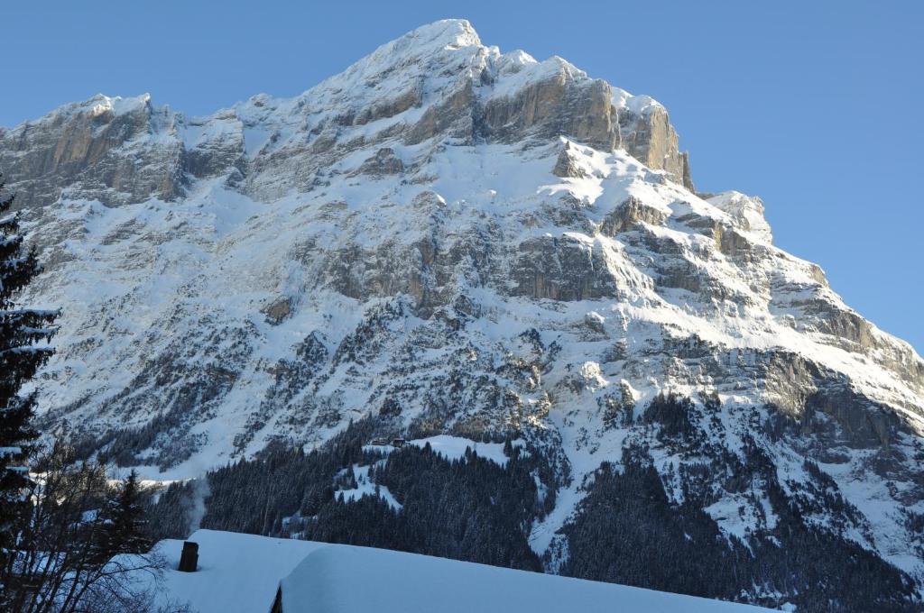 Hotel Central Wolter - Grindelwald Exterior photo